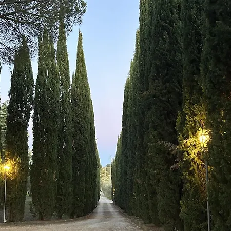 Panconesi